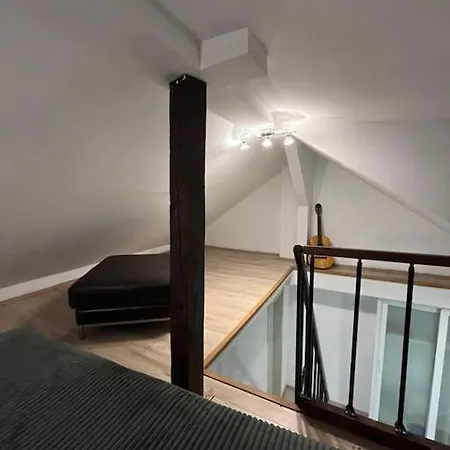 Potkrovlje Riki U Centru Beograda Belgrade