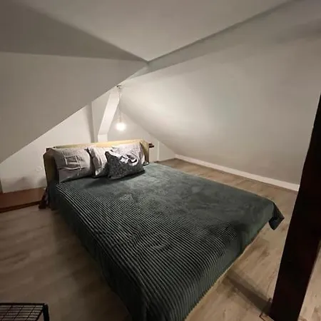 Potkrovlje Riki U Centru Beograda Beograd